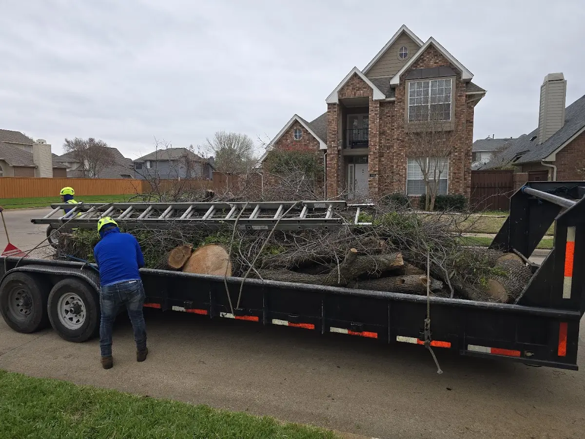 Expert Tree Fertilization with proper safety equipment in Stoughton